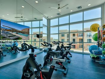 Professional fitness center